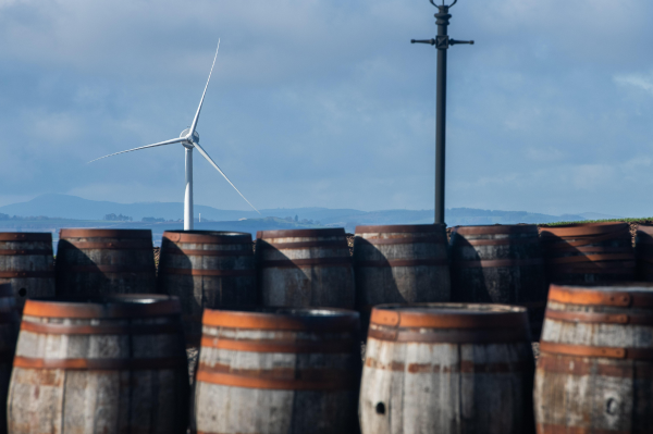 Arbikie Distillery wind turbine surrounded by whisky barrels 